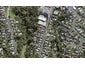 2/45 Rawene Road, Birkenhead, Auckland - Carousel 1