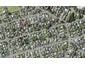 123 Second View Avenue, Beachlands, Auckland - Carousel 1