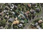 51 Aliford Avenue, One Tree Hill, Auckland - Carousel 1