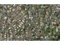 54A Anzac Road, Morningside, Whangarei - Carousel 1