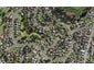 8 Kotero Road, Mount Roskill, Auckland - Carousel 1