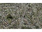 23D Caribbean Drive, Unsworth Heights, Auckland - Carousel 1