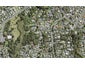 17 Konini Road, Titirangi, Auckland - Carousel 1