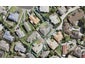 29 Gala Place, Henderson, Auckland - Carousel 1