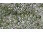 250B Beach Road, Campbells Bay, Auckland - Carousel 1
