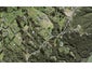 296 Paremoremo Road, Paremoremo, Auckland - Carousel 1
