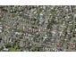 25 Ayr Road, Pakuranga, Auckland - Carousel 1