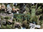 11A Tirohanga Avenue, Remuera, Auckland - Carousel 1