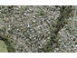 5C Crystal Avenue, Glendene, Auckland - Carousel 1
