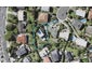 22 Kiri Place, Mairangi Bay, Auckland - Carousel 1