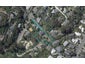 55 Augusta Street, Redcliffs, Christchurch - Carousel 1
