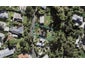 14 Inkster Street, Birkenhead, Auckland - Carousel 1