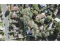 18 Capricorn Place, Browns Bay, Auckland - Carousel 1