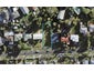 47 Mary Dreaver Street, New Windsor, Auckland - Carousel 1