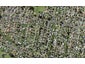 10/8 Bagnall Avenue, Point England, Auckland - Carousel 1