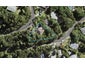 1 Takahe Road, Titirangi, Auckland - Carousel 1