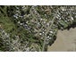 3 Farnol Street, Hillsborough, Auckland - Carousel 1