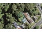 168C Seddon Street, Pukekohe, Pukekohe - Carousel 1