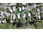 12 Kahikatea Place, Ranui, Auckland - Carousel 1