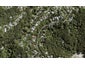 41 Takahe Road, Titirangi, Auckland - Carousel 1