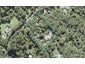 70 Opanuku Road, Henderson Valley, Auckland - Carousel 1