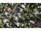 26 Laburnum Road, New Windsor, Auckland - Carousel 1