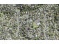 27 Acacia Road, Torbay, Auckland - Carousel 1