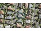 6 Reremanu Place, Weymouth, Auckland - Carousel 1