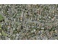 5 Meadway, Sunnyhills, Auckland - Carousel 1
