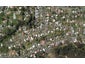 35 Raewyn Street, Morningside, Whangarei - Carousel 1