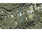66 Mountain Road, Henderson Valley, Auckland - Carousel 1