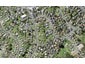10C Taniwha Street, Wai o Taiki Bay, Auckland - Carousel 1