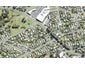 585 Whangaparaoa Road, Stanmore Bay, Whangaparaoa - Carousel 1