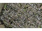 20B Saxon Street, Waterview, Auckland - Carousel 1