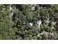16 Brownie Road, Laingholm, Auckland - Carousel 1