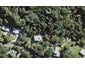 32 Warner Park Avenue, Laingholm, Auckland - Carousel 1