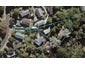 21 Ridgewood Crescent, Birkenhead, Auckland - Carousel 1