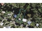 21 Trig Hill Road, Onetangi, Waiheke Island - Carousel 1