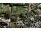 15D Woodley Avenue, Remuera, Auckland - Carousel 1