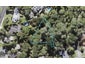 6 Happeace Lane, Titirangi, Auckland - Carousel 1