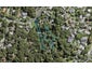 95 Wirihana Road, Titirangi, Auckland - Carousel 1