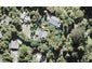 8 Tui Crescent, Waiatarua, Auckland - Carousel 1