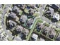 22 Corricvale Way, Northcross, Auckland - Carousel 1
