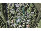 17 Whitford-Maraetai Road, Howick - Carousel 1