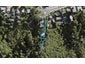 2C Waikowhai Road, Hillsborough, Auckland - Carousel 1