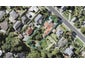 95 Beach Road, Mellons Bay, Auckland - Carousel 1
