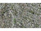 8E Andrew Road, Howick, Auckland - Carousel 1