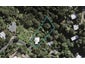 39 Hill Road, Palm Beach, Waiheke Island - Carousel 1