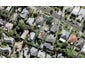 16 Springfield Road, Morningside, Auckland - Carousel 1