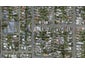 1/11 Centre Street, Strathern, Invercargill - Carousel 1
